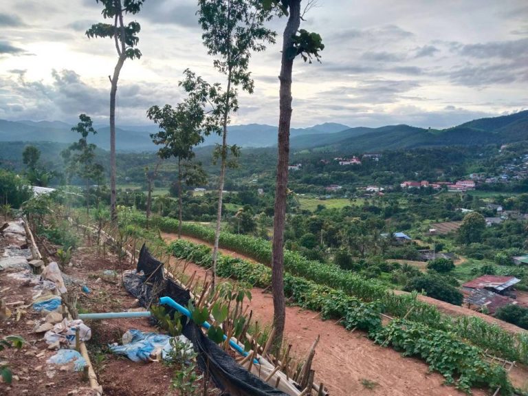 LINE_ALBUM_แปลงเกษตร 5_260819_4