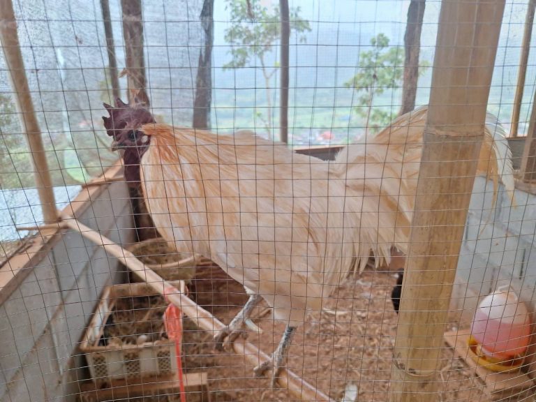 LINE_ALBUM_แปลงเกษตร 5_260819_40