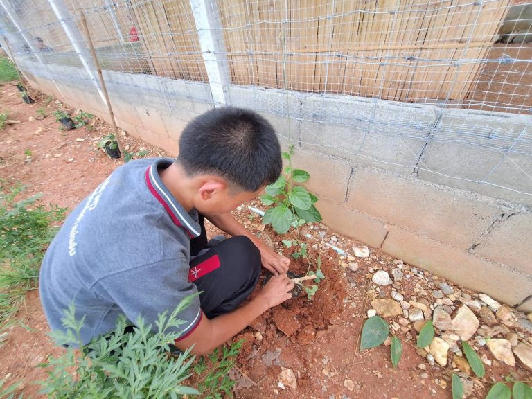 LINE_ALBUM_แปลงเกษตร 5_260819_6