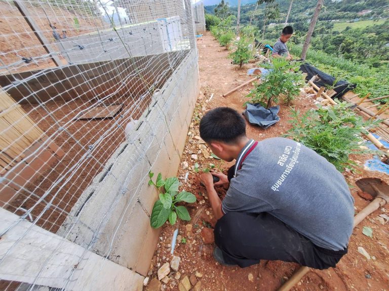 LINE_ALBUM_แปลงเกษตร 5_260819_7