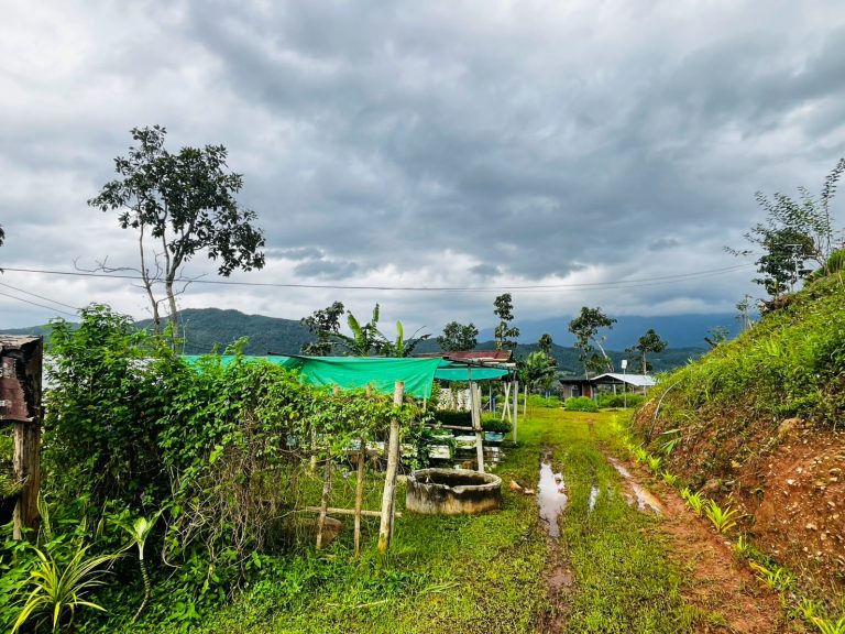 LINE_ALBUM_แปลงเกษตร 5_260904_1