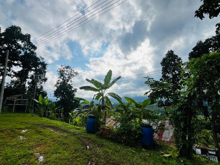 LINE_ALBUM_แปลงเกษตร 5_260904_2