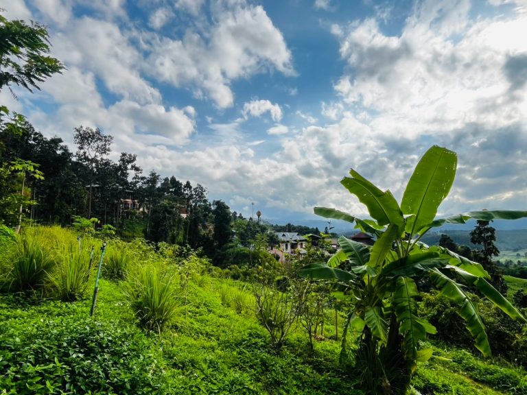 LINE_ALBUM_แปลงเกษตร 5_260904_5