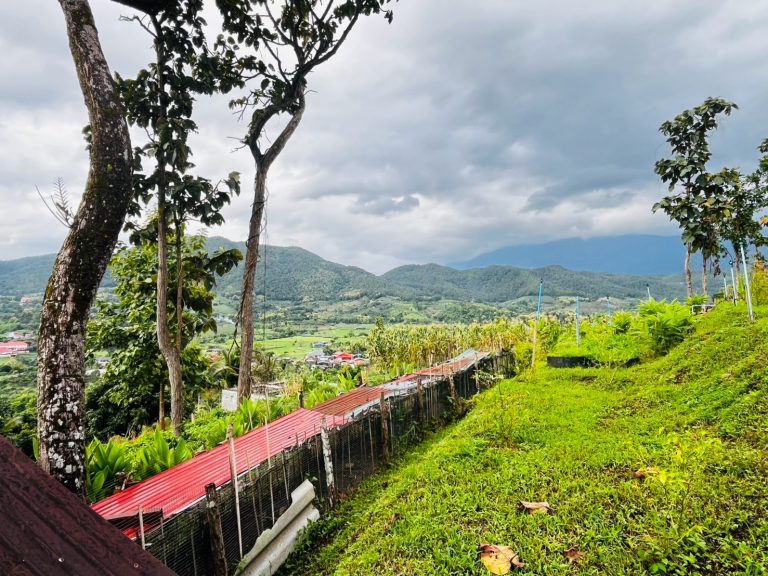 LINE_ALBUM_แปลงเกษตร 5_260904_7